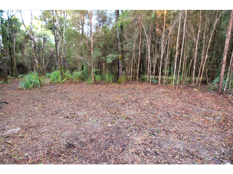 1224 Preolenna Road, Moorleah TAS 7325