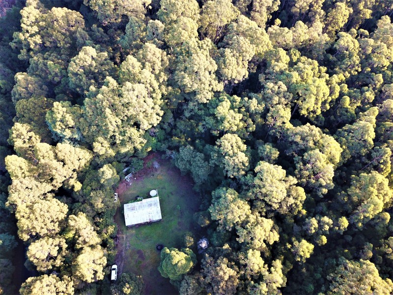 1224 Preolenna Road, Moorleah TAS 7325