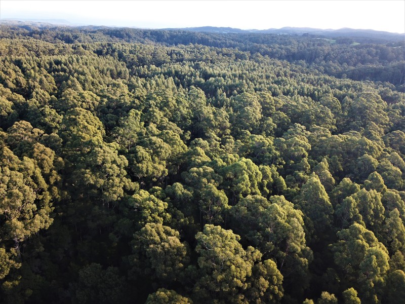 1224 Preolenna Road, Moorleah TAS 7325