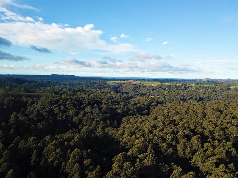 1224 Preolenna Road, Moorleah TAS 7325