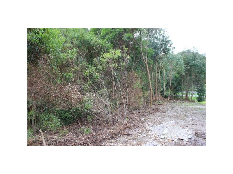 19 Andrew Street, Strahan TAS 7468