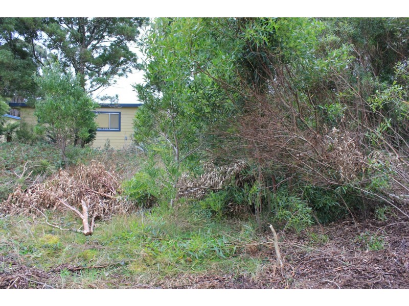 19 Andrew Street, Strahan TAS 7468