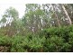 Lot 3,  Natone Road, Hampshire TAS 7321