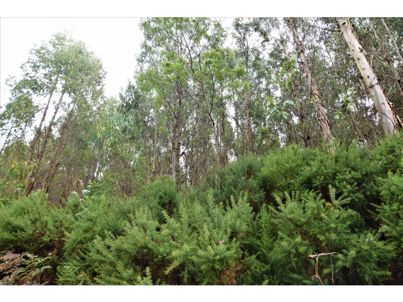 Lot 3,  Natone Road, Hampshire TAS 7321