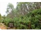 Lot 3,  Natone Road, Hampshire TAS 7321