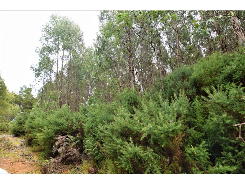 Lot 3,  Natone Road, Hampshire TAS 7321