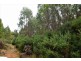 Lot 3,  Natone Road, Hampshire TAS 7321