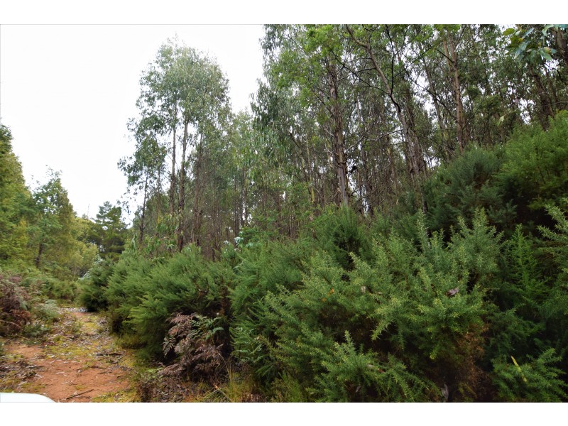Lot 3,  Natone Road, Hampshire TAS 7321