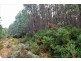 Lot 3,  Natone Road, Hampshire TAS 7321