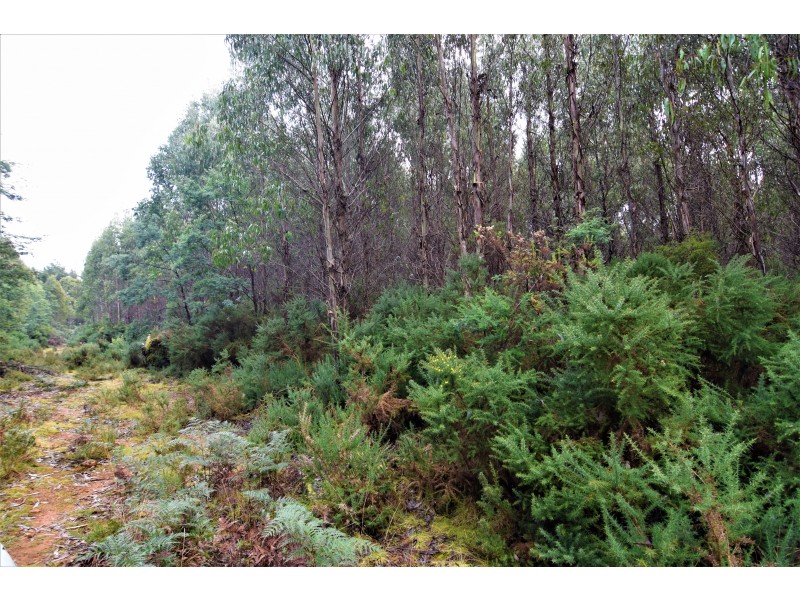 Lot 3,  Natone Road, Hampshire TAS 7321