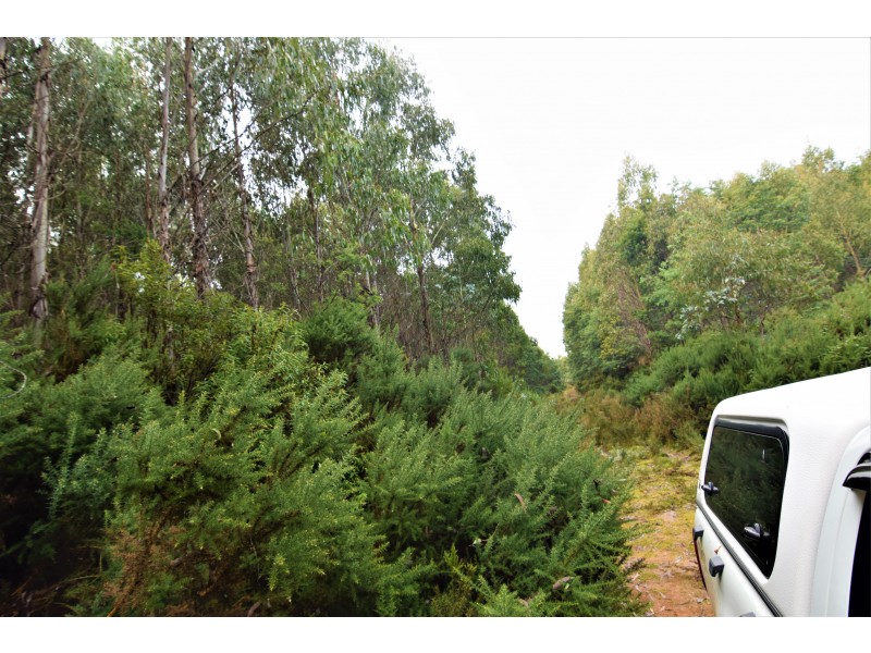 Lot 3,  Natone Road, Hampshire TAS 7321