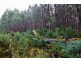 Lot 3,  Natone Road, Hampshire TAS 7321