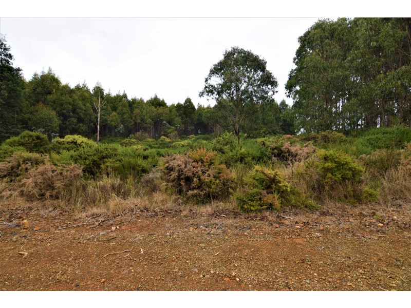 Lot 1,  Upper Natone Road, Highclere TAS 7321