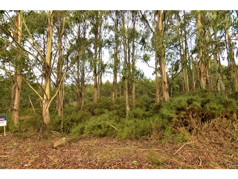 Lot 1,  Upper Natone Road, Highclere TAS 7321