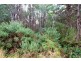 Lot 2,  Upper Natone Road, Highclere TAS 7321