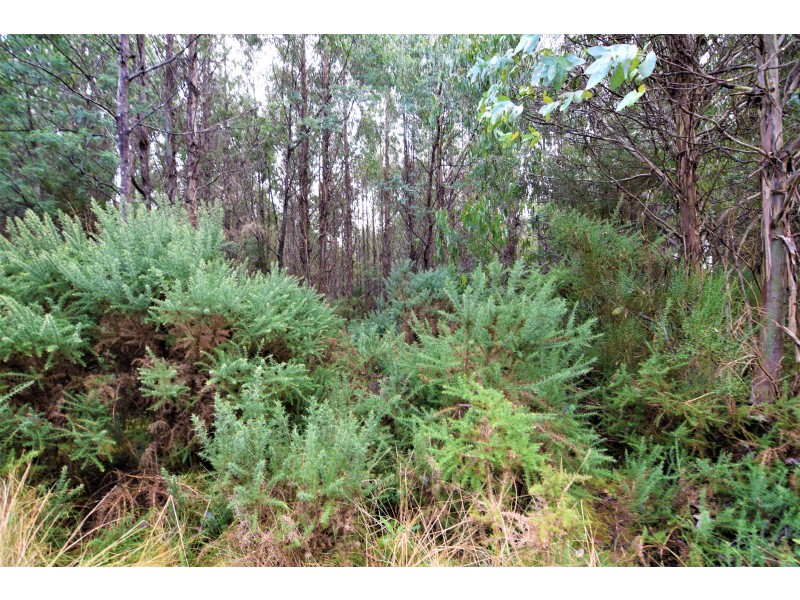 Lot 2,  Upper Natone Road, Highclere TAS 7321