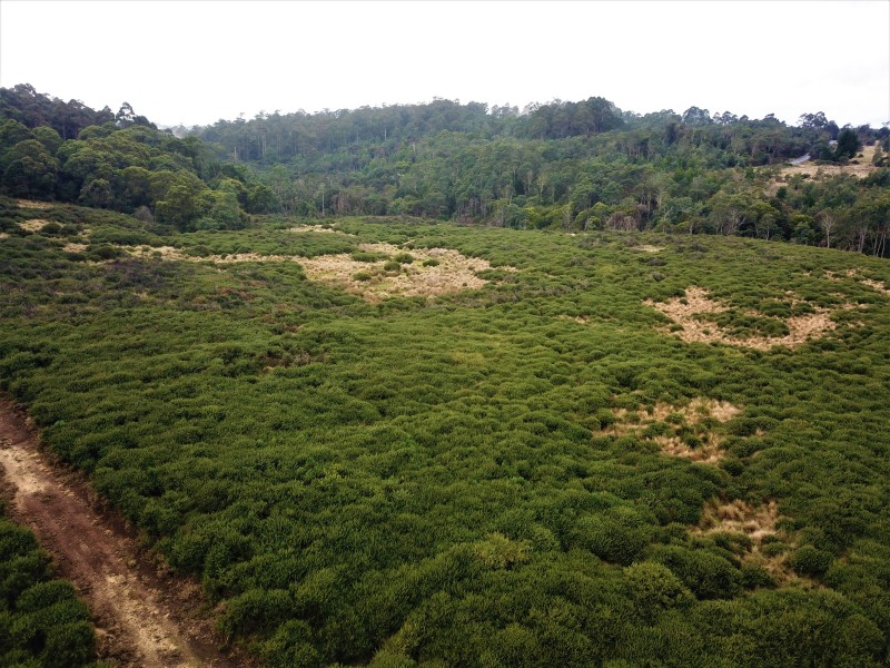 Lot 4,  Upper Natone Road, Highclere TAS 7321