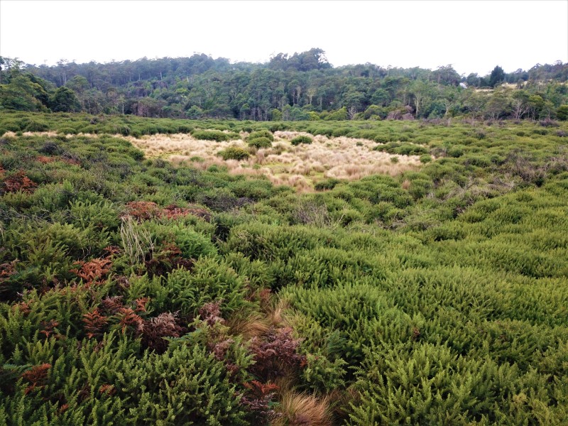 Lot 4,  Upper Natone Road, Highclere TAS 7321