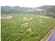 Lot 4,  Upper Natone Road, Highclere TAS 7321