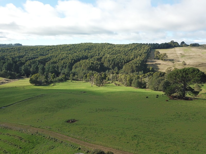 1087 Oonah Road, Tewkesbury TAS 7321