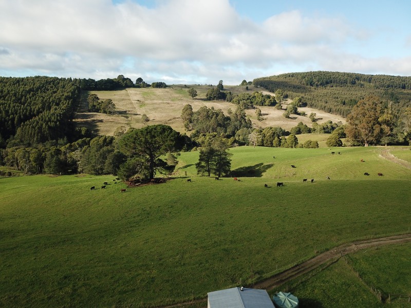 1087 Oonah Road, Tewkesbury TAS 7321