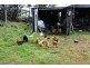 346 Main Street, Zeehan TAS 7469