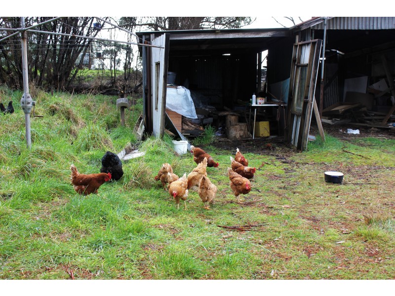 346 Main Street, Zeehan TAS 7469