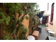 14 Cattley Street, Burnie TAS 7320