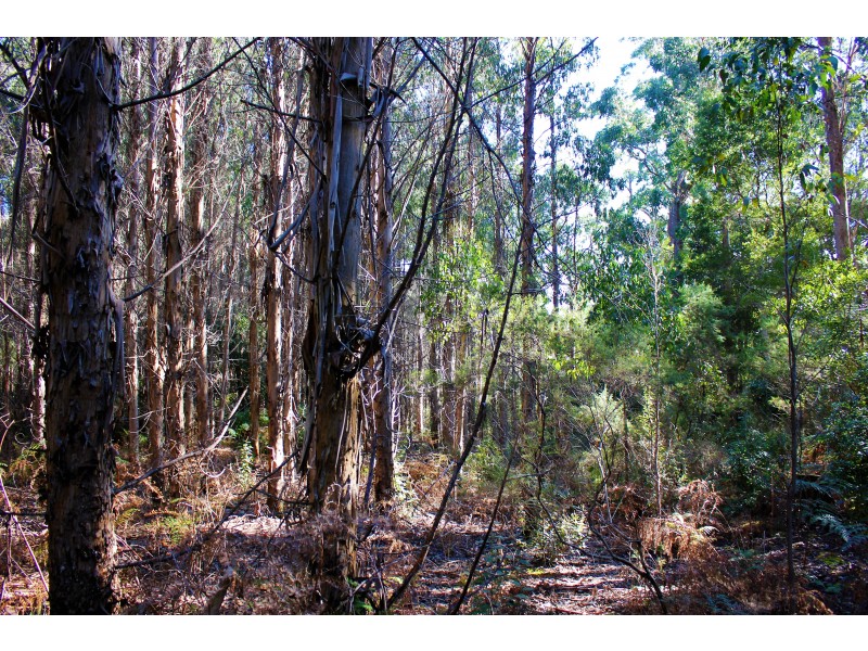 6680 Sculthorpes Road, Meunna TAS 7325