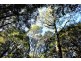 6680 Sculthorpes Road, Meunna TAS 7325