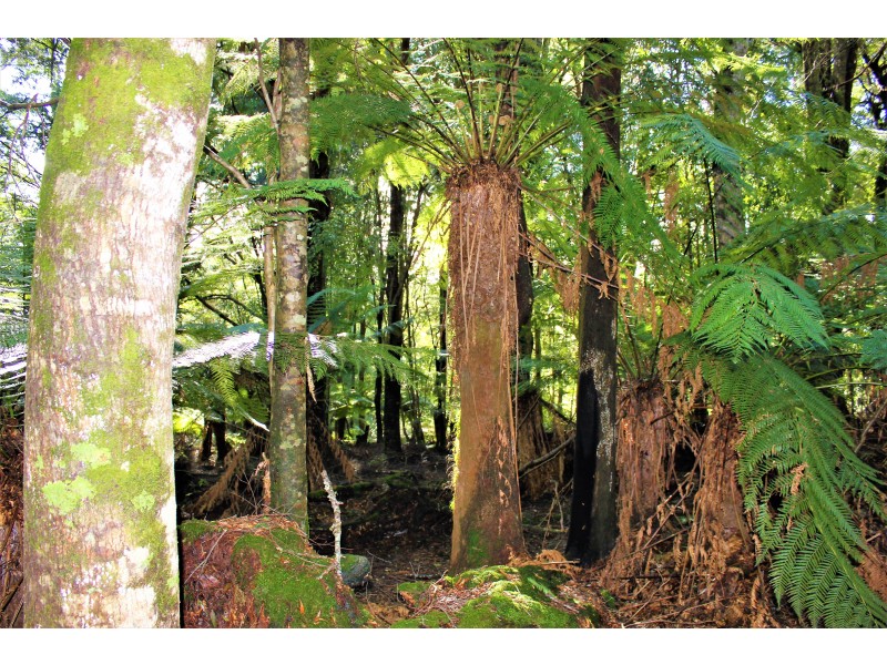 6680 Sculthorpes Road, Meunna TAS 7325