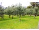 445 Coopers Lane, Wynyard TAS 7325