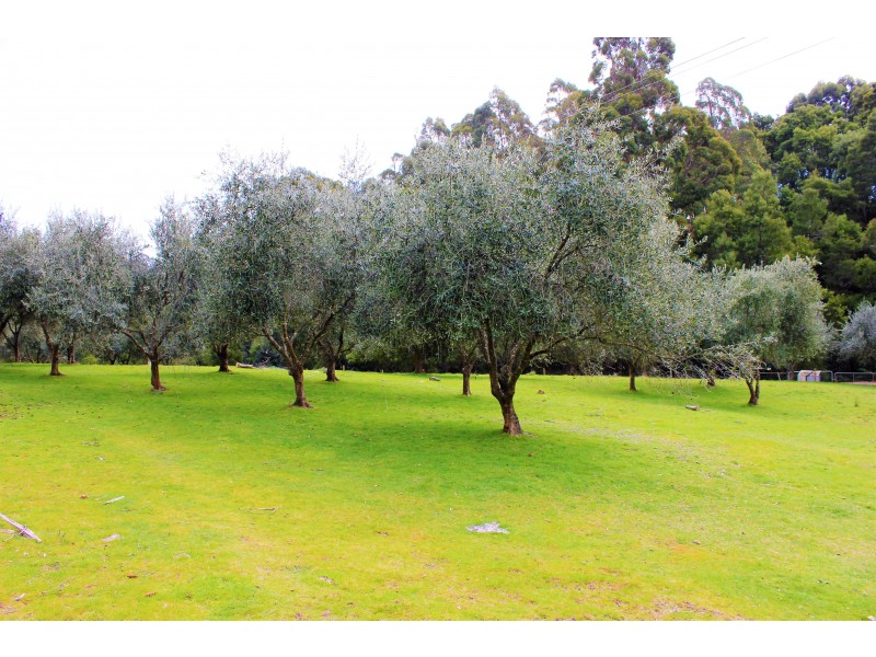 445 Coopers Lane, Wynyard TAS 7325