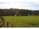 50 Lenna Road, East Ridgley TAS 7321