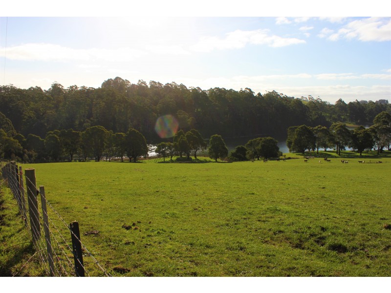 50 Lenna Road, East Ridgley TAS 7321
