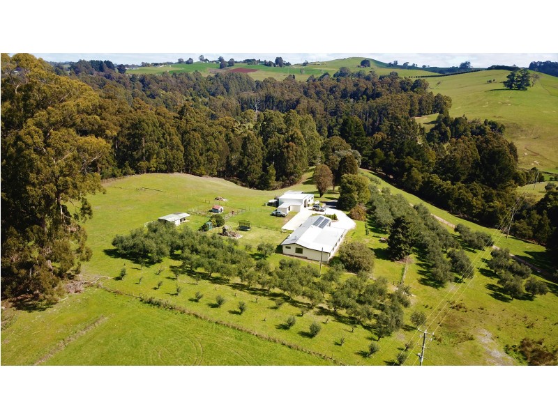 445 Coopers Lane, Wynyard TAS 7325