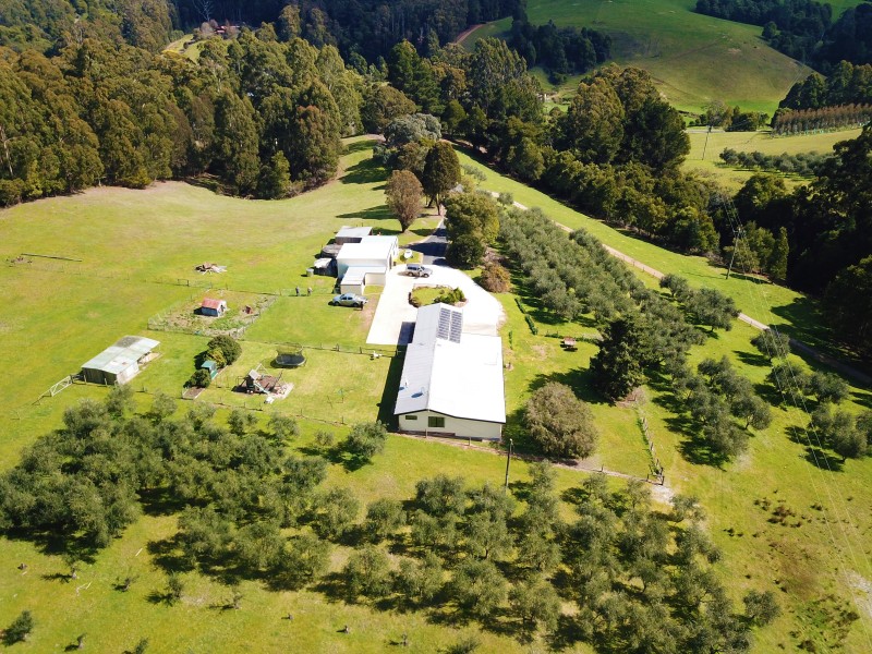 445 Coopers Lane, Wynyard TAS 7325