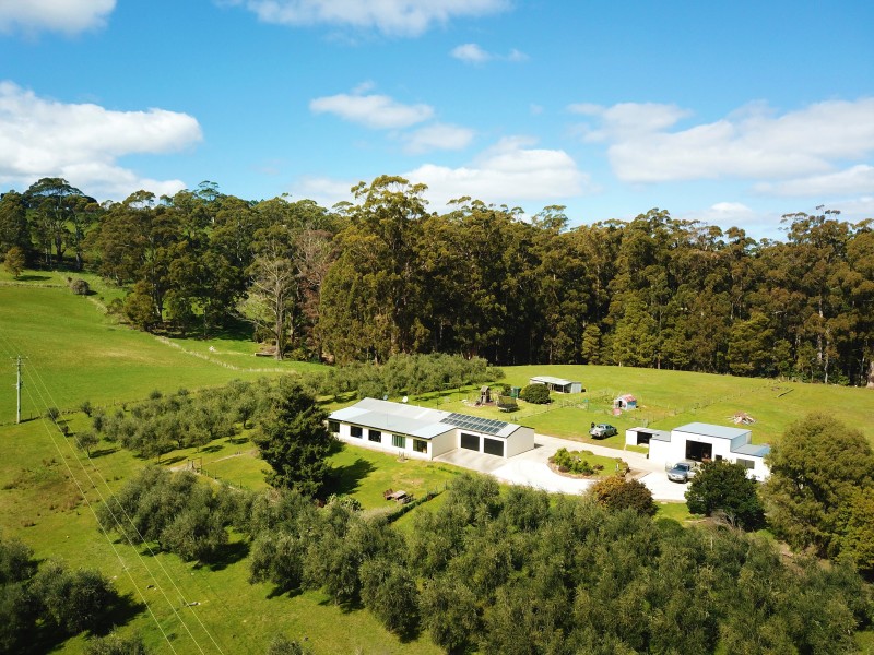 445 Coopers Lane, Wynyard TAS 7325