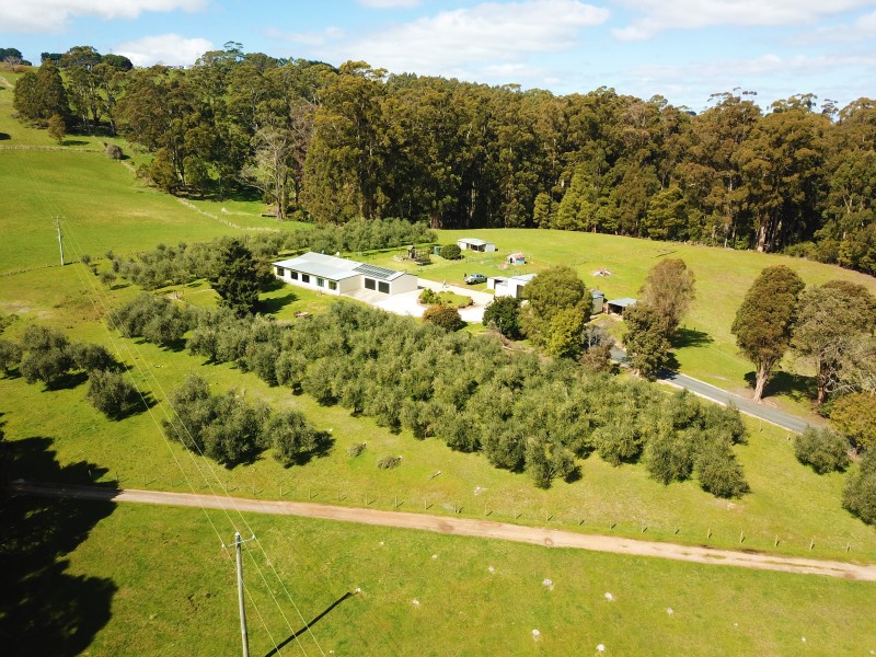 445 Coopers Lane, Wynyard TAS 7325