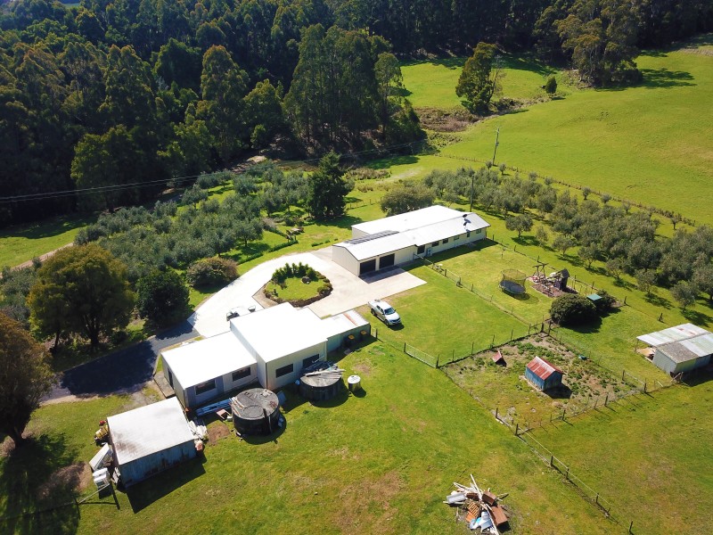 445 Coopers Lane, Wynyard TAS 7325