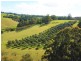 445 Coopers Lane, Wynyard TAS 7325