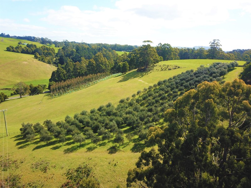 445 Coopers Lane, Wynyard TAS 7325
