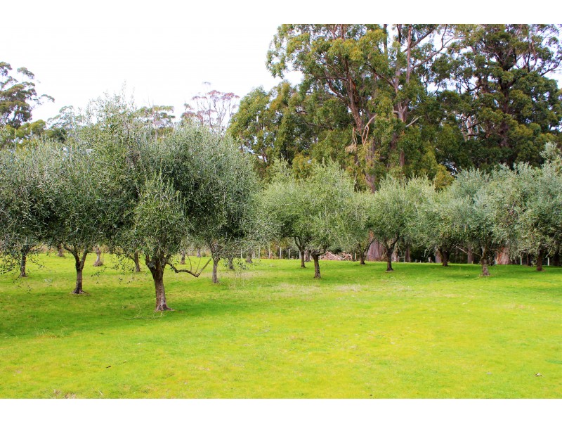 445 Coopers Lane, Wynyard TAS 7325