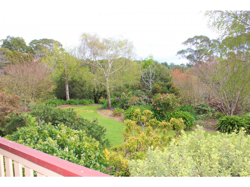 16666 Bass Highway, Wynyard TAS 7325