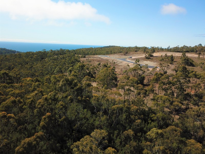 Bower Circuit, Heybridge TAS 7316