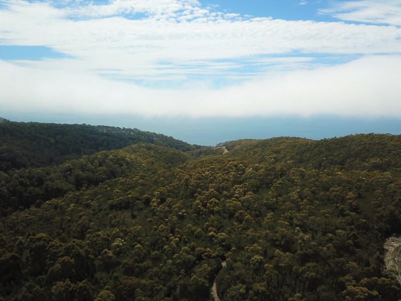 Bower Circuit, Heybridge TAS 7316