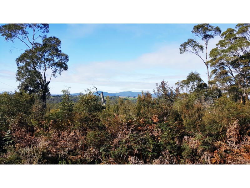 12 Bissett Place, Heybridge TAS 7316