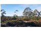 12 Bissett Place, Heybridge TAS 7316