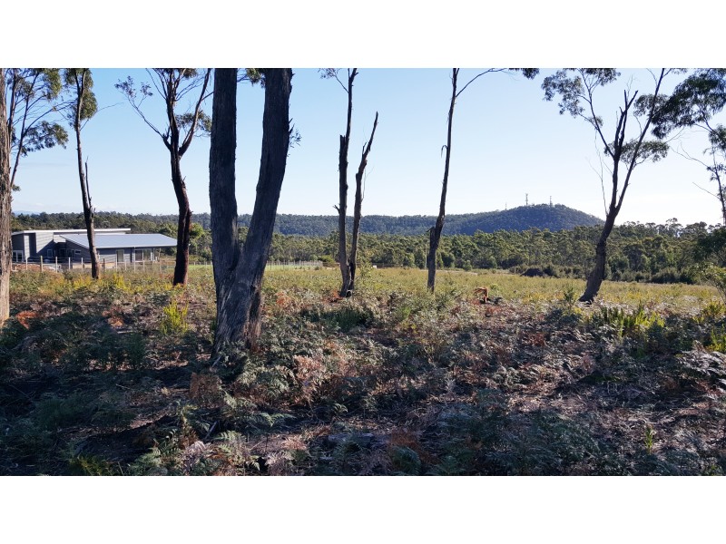 12 Bissett Place, Heybridge TAS 7316