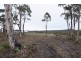 12 Bissett Place, Heybridge TAS 7316